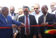 صورة وزارة التنمية الحيوانية تطلق الأيام الوطنية للحوض اللبني من مدينة النعمة