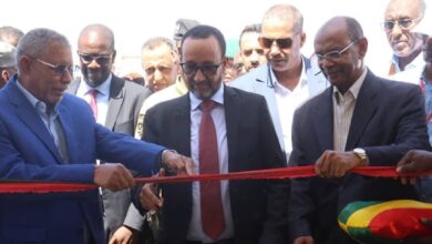 صورة وزارة التنمية الحيوانية تطلق الأيام الوطنية للحوض اللبني من مدينة النعمة
