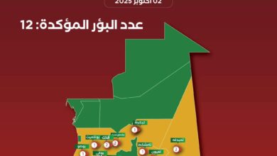 صورة وزارة التنمية الحيوانية: ارتفاع بؤر حمى الوادي المتصدع إلى 12 بؤرة في 6 ولايات