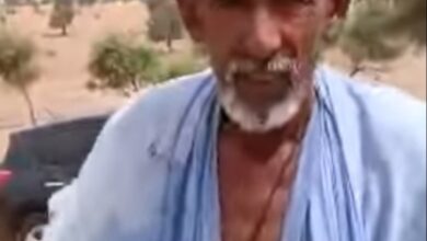 صورة نفوق جماعي للغنم بسبب ملوحة مياه بئر في “أكريفيت” والسكان يوجهون نداء استغاثة (فيديو)