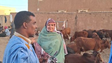 صورة حلف رئيس المحكمة العليا : كل الترتيبات اللازمة تم اتخاذها لضمان استقبال يليق بالرئيس (صور)