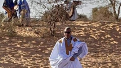صورة ولد اعلاد يصل عاصمة الحوض الشرقي ويبدأ أنشطته التعبوية والتحسيسية تحضيرا لزيارة الرئيس