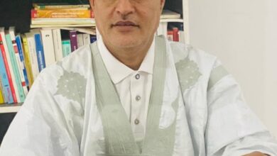 صورة موريتانيا بين الوصفة الدولية وتحديات الاستقرار النقدي/وزير سابق الدكتور ختار الشيباني