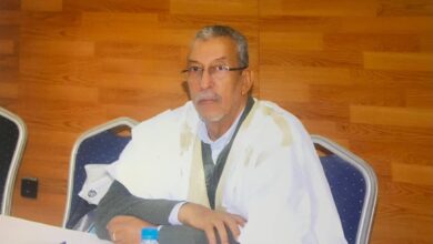 صورة نعم لنداء انبيكة لحواش/ بقلم الدكتور الخليل الخليفة