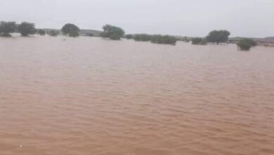 صورة توضيح من ملاك سدي “لم عودو” و”عريظ” حول الادعاءات المثارة والمساعي لإشعال فتيل الفتنة (بيان)