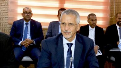 صورة لجنة المالية تدرس ميزانية مفوضية حقوق الإنسان والعمل الإنساني والعلاقات مع المجتمع المدني (صور)