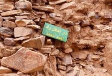 صورة حكايات شعبية من مدينة وادان / محمد الأمين ولد الفاظل
