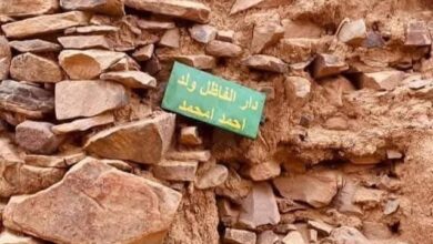 صورة حكايات شعبية من مدينة وادان / محمد الأمين ولد الفاظل