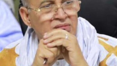 صورة الدولة لا تتقدم إلا بجهود من يعملون بصمت لا بضجيج المعرقلين/ محمد ولد لحظانه