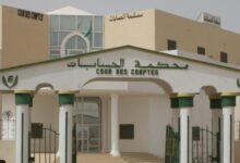 صورة محكمة الحسابات: غالبية عائدات التعدين التقليدي خارج إيرادات ميزانية 2024