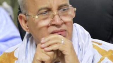 صورة التحوّل الهادئ: من مراجعة الأدوات إلى دقّة الاختيار / محمد ولد لحظانه