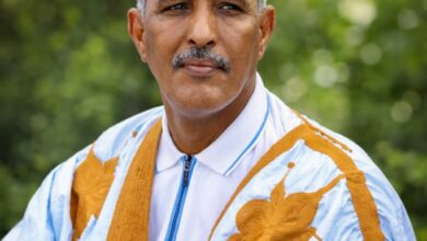 صورة برنامج بلغة مختلفة / محمد زيني حمادي المستشار الأول بالسفارة بدكار