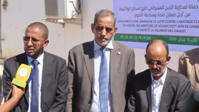 صورة وزارة التنمية الحيوانية تطلق حملة لمحاربة الذبح العشوائي في نواكشوط (صور)