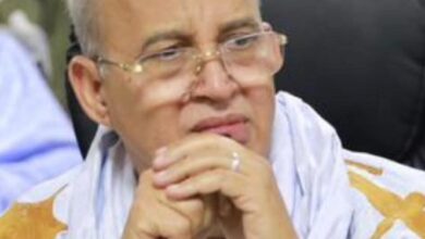صورة حين يصنع الخطاب أزمةً لا يصنعها الواقع: الوحدة الوطنية بين الضجيج والطمأنينة / محمد ولد لحظانه