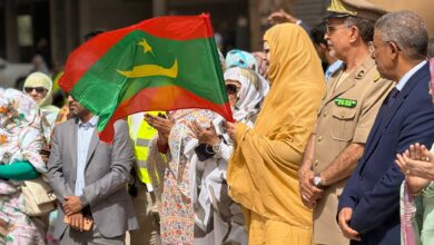 صورة وزيرة التجارة تطلق حملة وطنية مشددة لضبط الأسعار وحماية صحة المستهلك (صور)