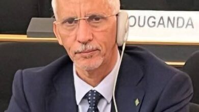 صورة مفوض حقوق الإنسان يحضر أعمال الدورة الحادية والستين لمجلس حقوق الإنسان (صور)