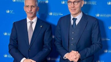 صورة مفوض حقوق الإنسان يبحث مع المفوض السامي للأمم المتحدة لحقوق الإنسان تعزيز التعاون والشراكة