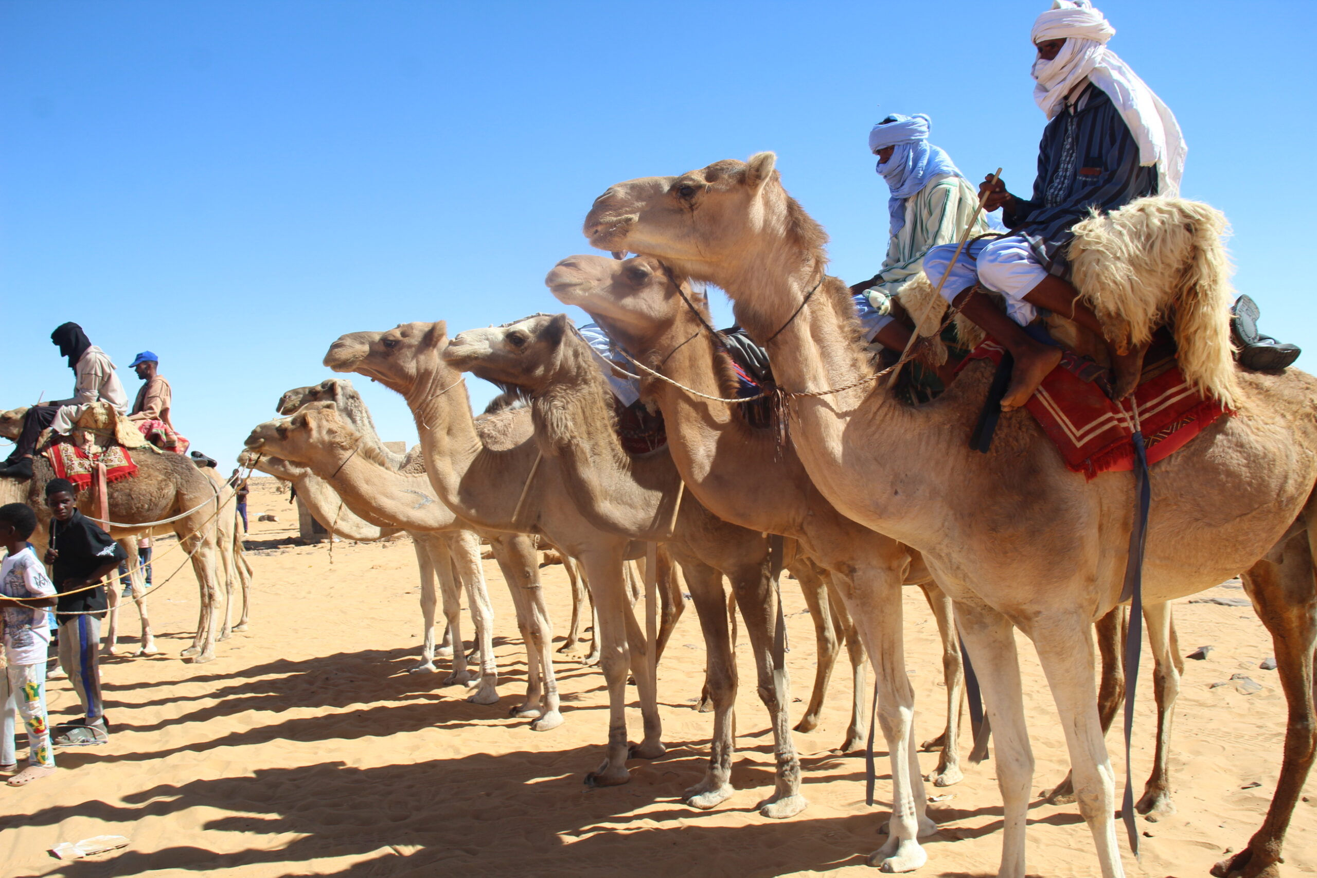 صورة ولد بله يتوج بسباق الهجن ضمن فعاليات النسخة الثانية من مهرجان تنوشرت