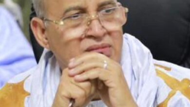 صورة تحييد ملف الإرث الإنساني من الحوار المزمع حماية للمسار القائم وتفادي فتح ملفات مطلبية موازية / محمد لحظانه