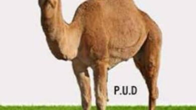 صورة حزب الوحدة والتنمية: العدوان الصهيوني الآمريكي على إيران انتهاك صارخ للسيادة وتهديد خطير لأمن المنطقة (بيان)