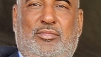 صورة آب الشيخ محمد فاضل: مسار خبير استراتيجي في خدمة الدولة وتحصين الحوكمة