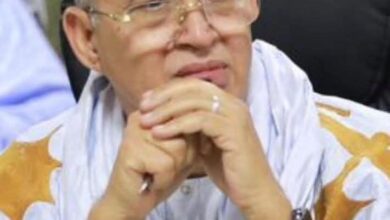 صورة حين يبدأ الإصلاح بالتسلّل إلى قطاع المعادن / محمد ولد لحظانه