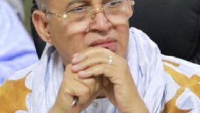 صورة الوكالة الوطنية للطيران المدني: حين تتقدّم السلامة كخيار لا يقبل التراجع / محمد ولد لحظانه