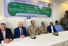 صورة ٱطلاق ورشات تكوينية لصالح منظمات المجتمع المدني في ولاية تيرس الزمور (صور)