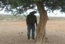صورة العثور على جثمان رجل معلق بشجرة قرب مطاحن الذهب في “إزويرات”