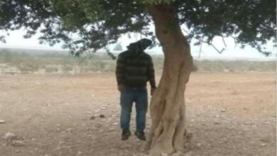 صورة العثور على جثمان رجل معلق بشجرة قرب مطاحن الذهب في “إزويرات”