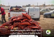 صورة بلدية الميناء تطلق حملة لتطهير الأسواق من المواد الفاسدة والمنتهية الصلاحية (صور)