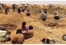 صورة محي ولد القاضي… حين تصنع الأخلاق قيمةً توازي الذهب