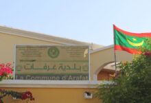 صورة بلدية عرفات تطلق حملة للقضاء على الكلاب السائبة