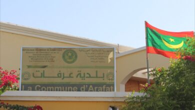 صورة بلدية عرفات تطلق حملة للقضاء على الكلاب السائبة