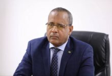 صورة وزير الزراعة يبحث مع الإيطاليين مشروعًا زراعيًا لتعزيز السيادة الغذائية بموريتانيا (صور)